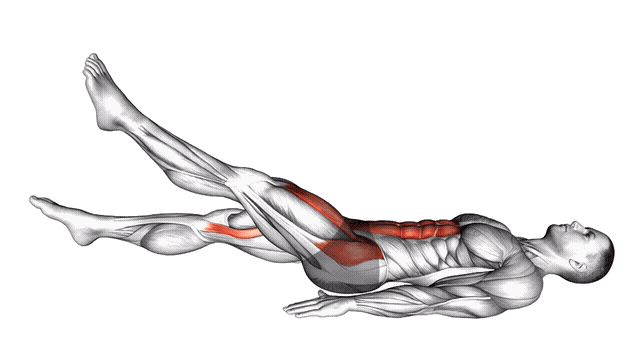 Animation Battements de Jambes