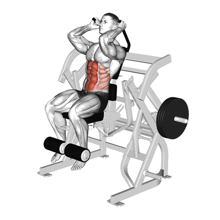 Animation Crunch à la machine