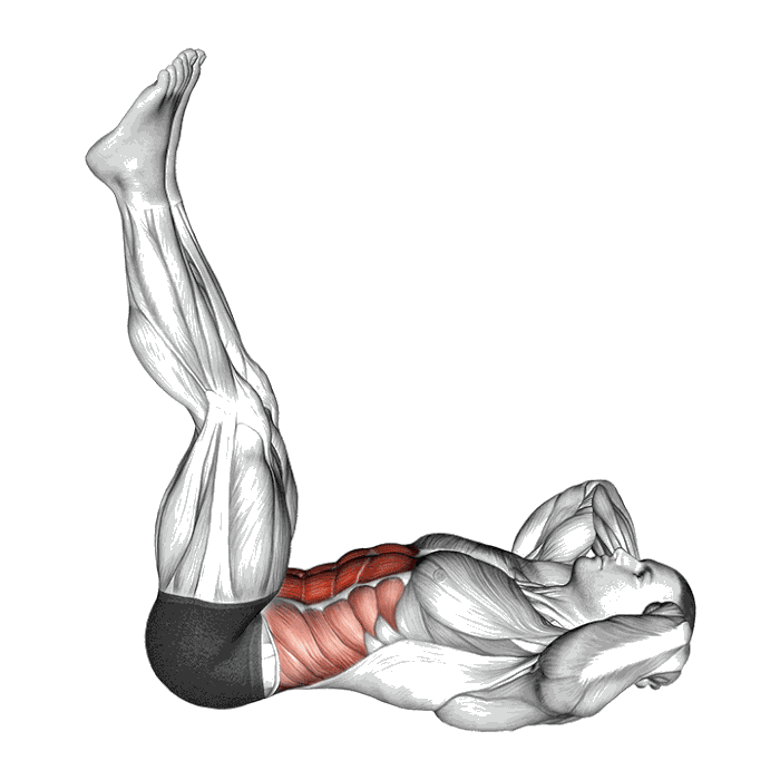 Animation Crunch avec jambes verticales