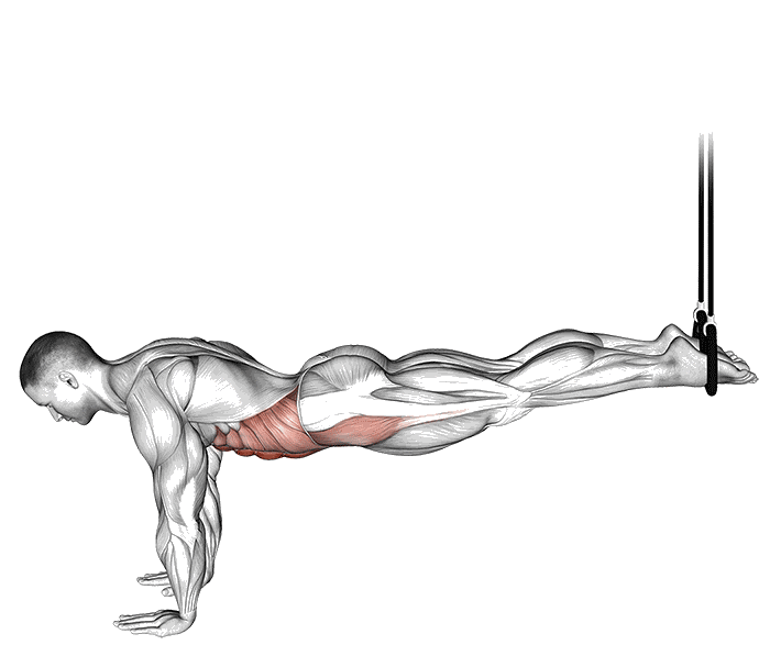 Animation Crunch avec sangles de suspension