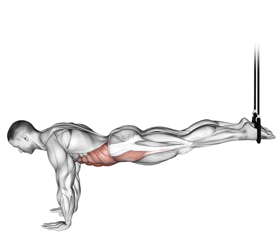 Crunch avec sangles de suspension