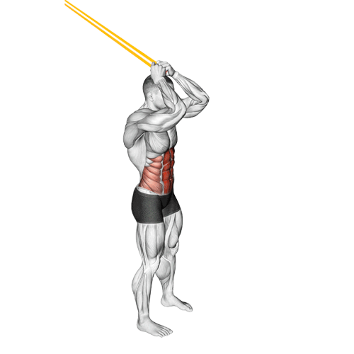 Crunch debout (Élastique)