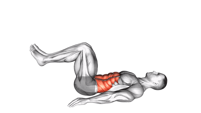 Animation Crunch inverse