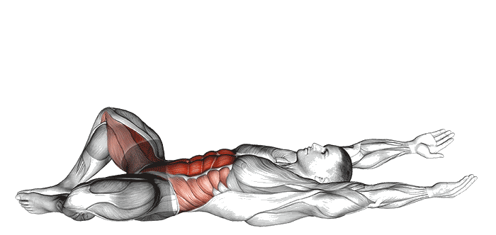 Animation Crunch papillon