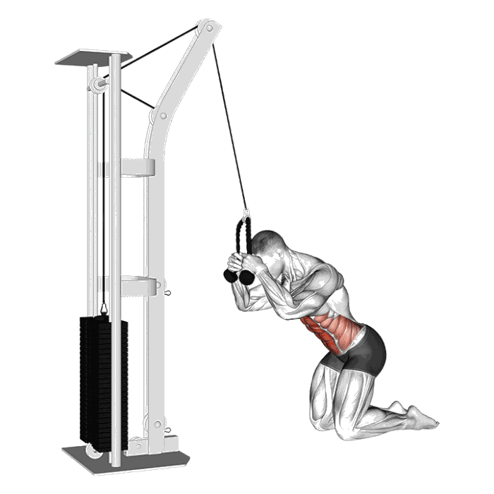 Animation Crunch poulie haute