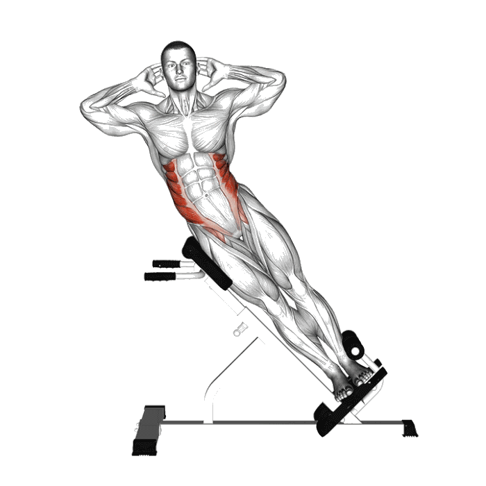 Animation Flexion des obliques au banc à lombaire à 45°