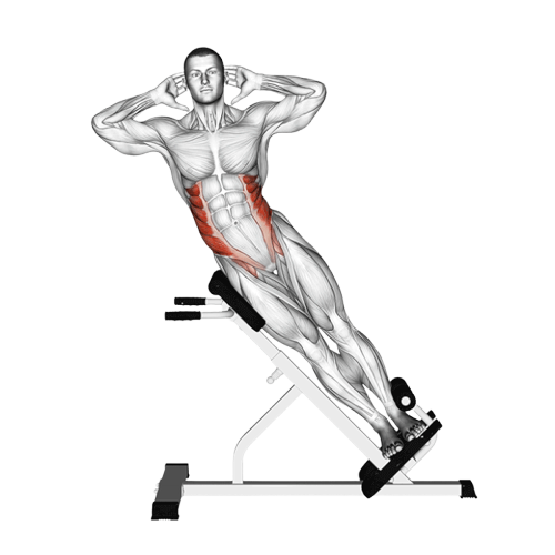 Flexion des obliques au banc à lombaire à 45°