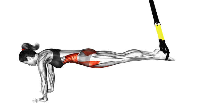 Animation Jack knife (Suspension)