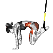 Jack knife (Suspension)