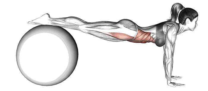 Animation Jackknife sur swiss ball