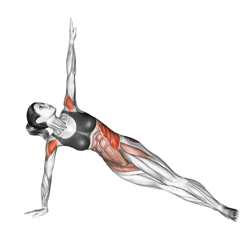 Planche latérale avec rotation