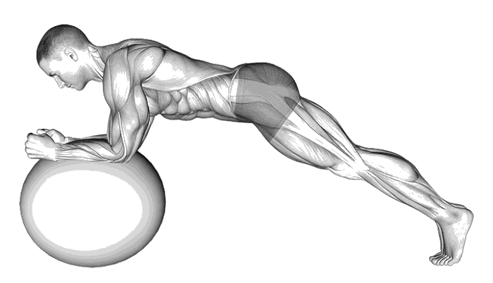 Animation Planche sur Swiss ball