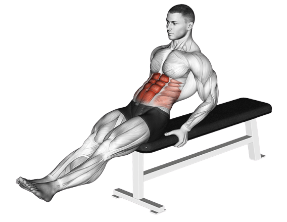 Relevé de jambes assis