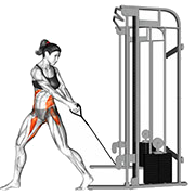 Rotation a la poulie (Bas vers haut)