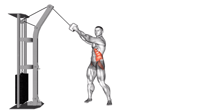 Animation Rotation a la poulie (Haut vers bas)