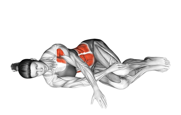 Rotation du buste allongé