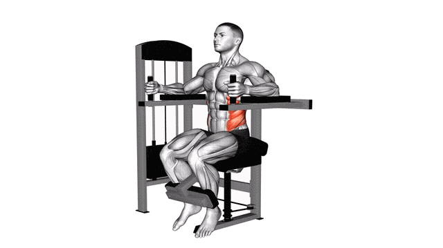 Animation Rotation du buste