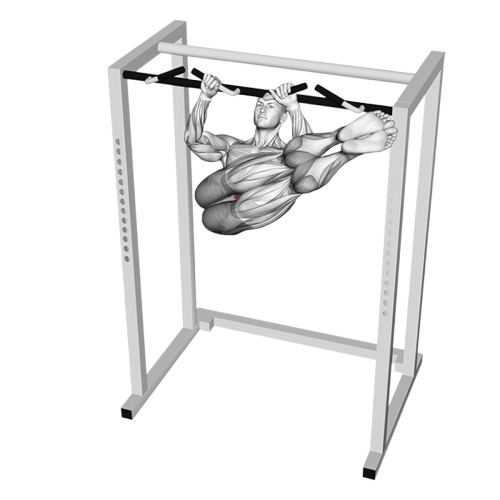 Rotations des abdominaux suspendu