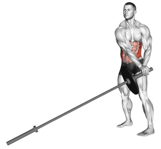 Rotations du buste avec landmine