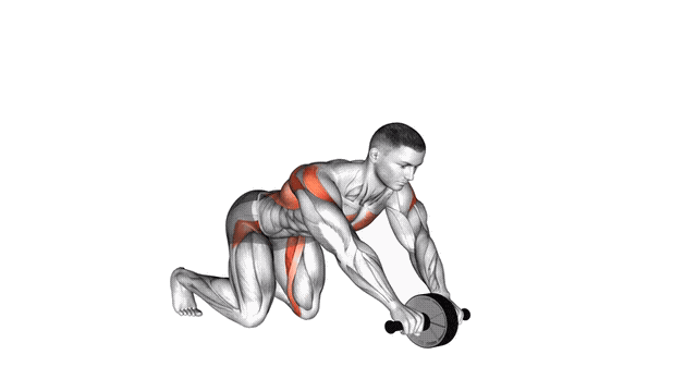 Animation Roue abdominale