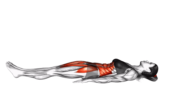 Animation Sit up Jackknife