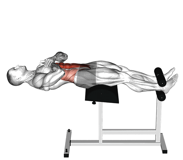 Animation Sits-up à la chaise romaine