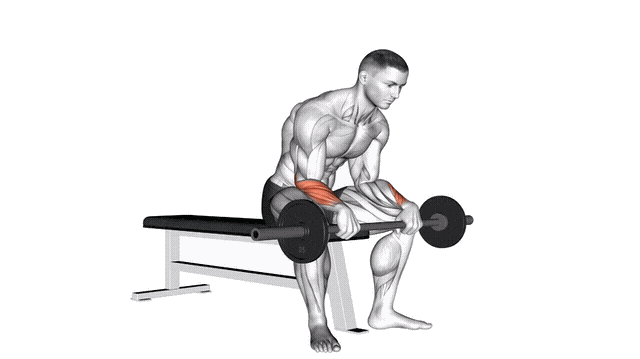 Animation Extension poignet assis (Barre)