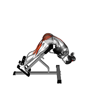 Extension dorsale (Hyperextension Lestee)