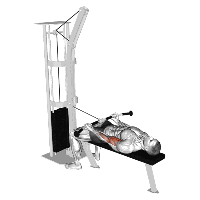 Animation Curl allongé (Poulie)