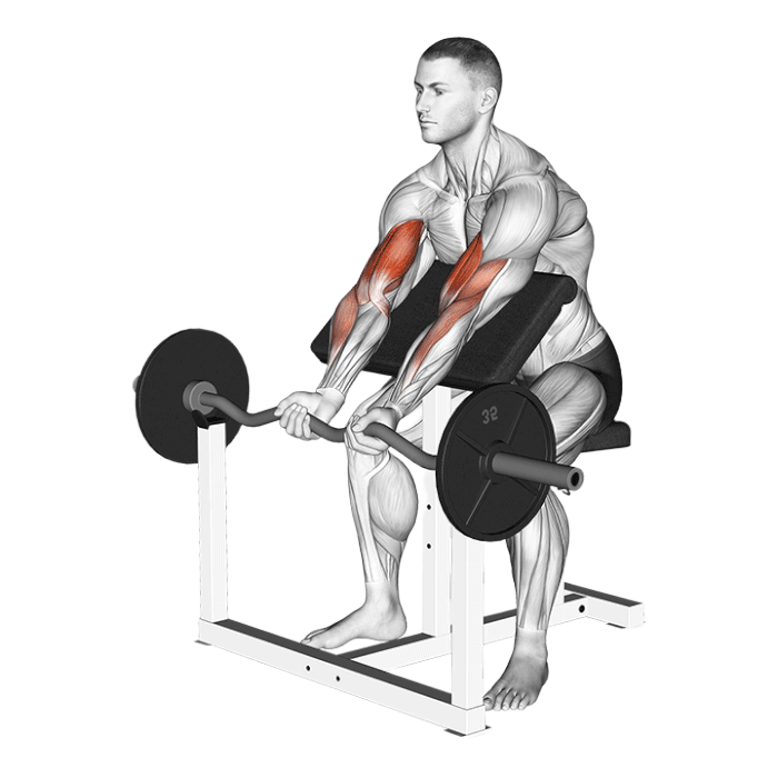 Curl au pupitre barre EZ Larry Scott