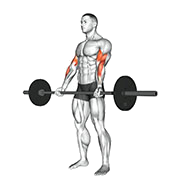 Curl biceps 21s (Barre)