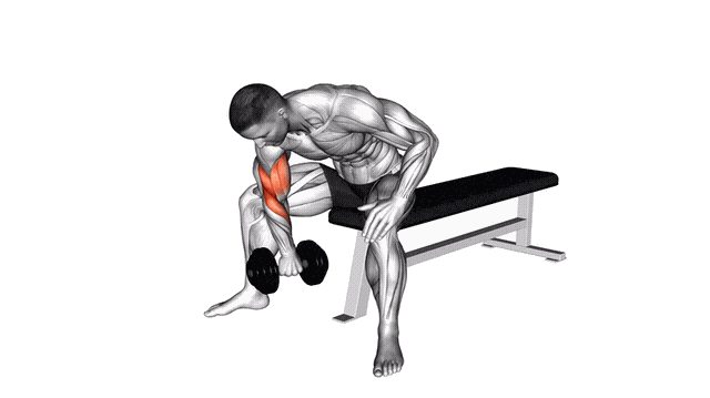 Animation Curl concentration prise inversee