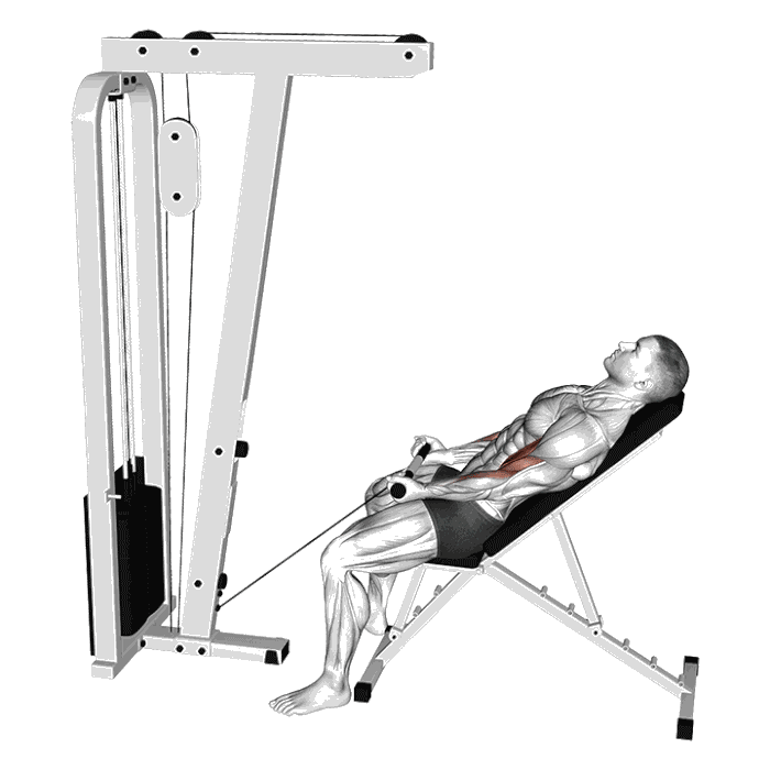 Animation Curl incliné (Poulie)