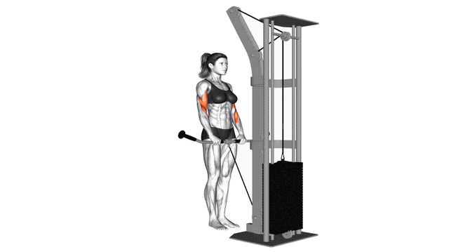 Animation Curl inverse (Poulie)