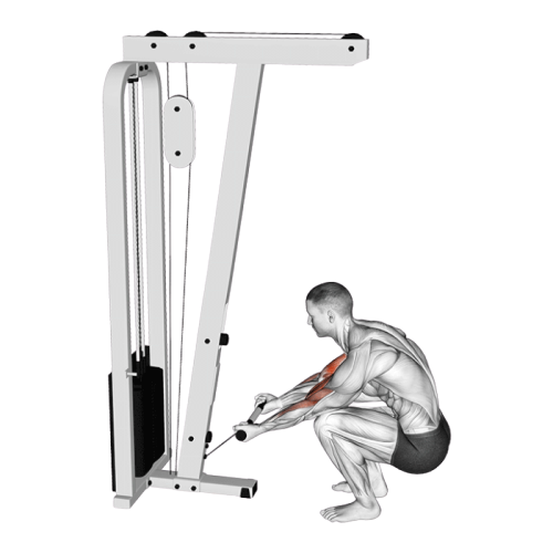 Curl position squat (Poulie)