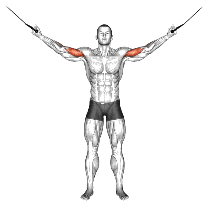 Animation Curl poulie vis à vis