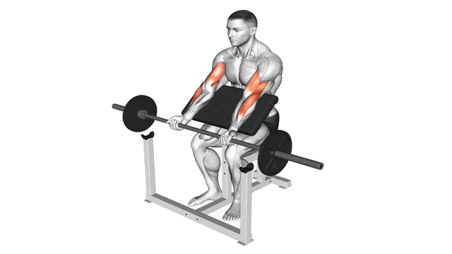 Animation Curl pupitre (Barre)