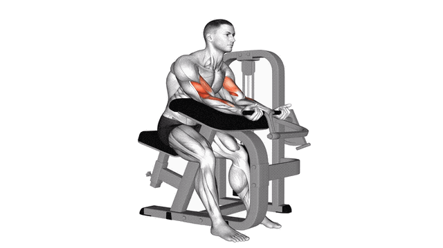 Animation Curl pupitre (Machine)