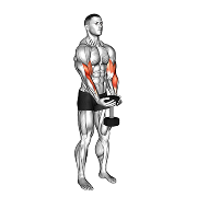 Curl serveur (Halteres)