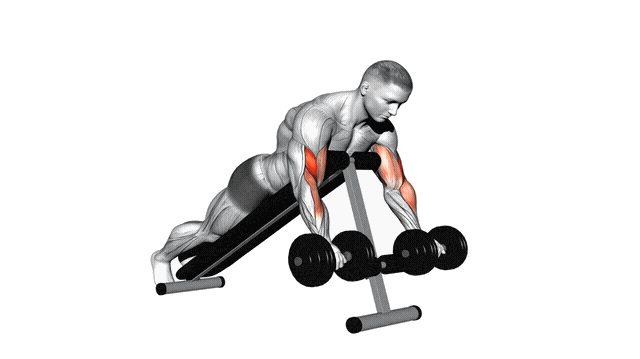 Animation Curl spider (Halteres)