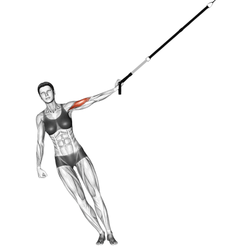 Curl unilatéral avec sangles de suspension