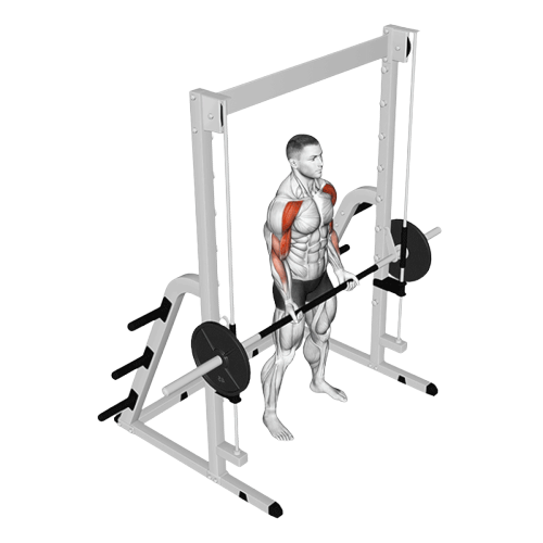 Drag curl à la (Smith machine)