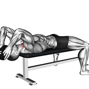 Curl du cou Allonge (Leste)