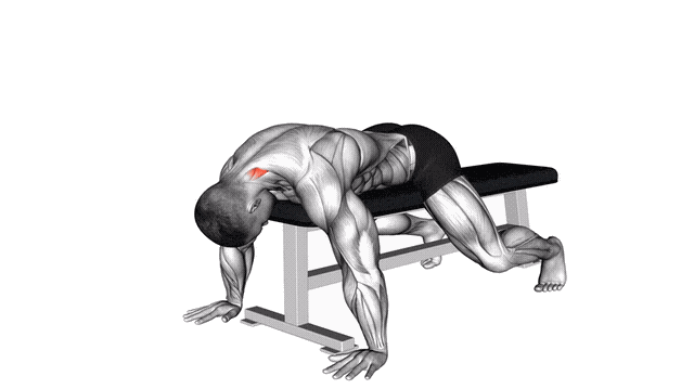 Animation Extension du cou allonge