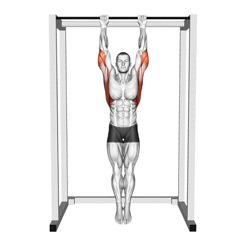 Dead Hang (suspension passive)