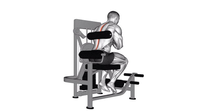 Animation Extension dorsale (Machine)