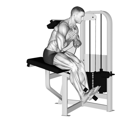 Extension lombaire (Machine)