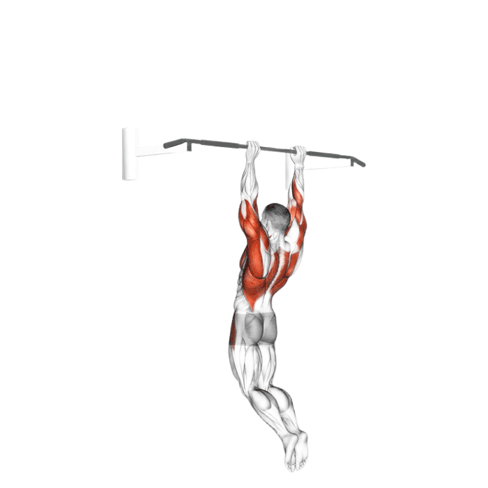 Muscle-up
