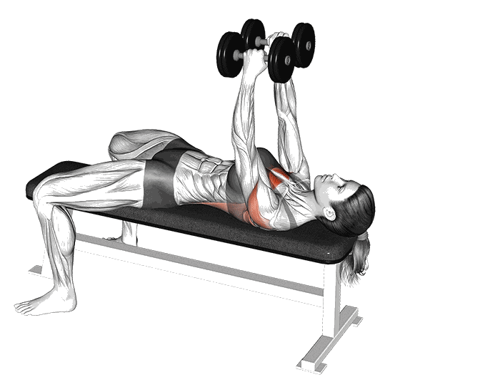 Animation Pullover avec deux haltères