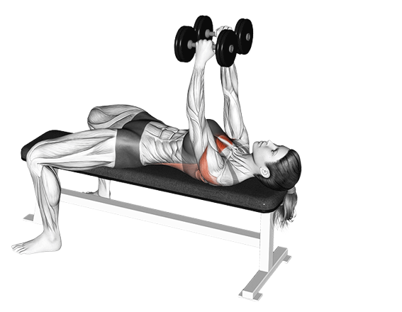 Pullover avec deux haltères